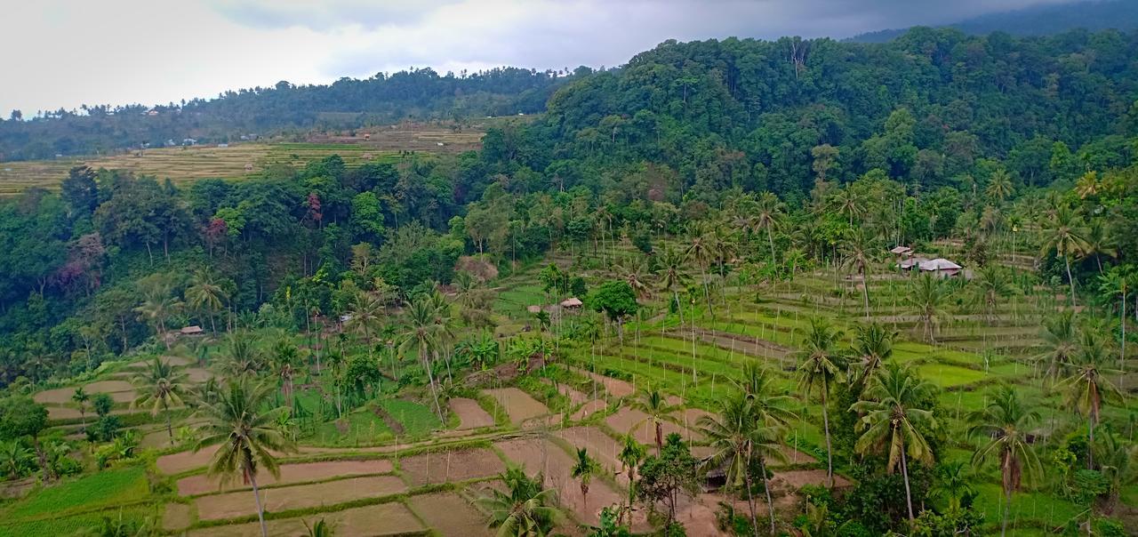 ホテルGreen Rinjani Guest Houst セナル エクステリア 写真